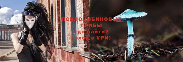 винт Аркадак