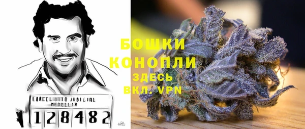 винт Аркадак
