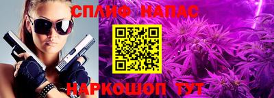 прущие грибы Пушкино