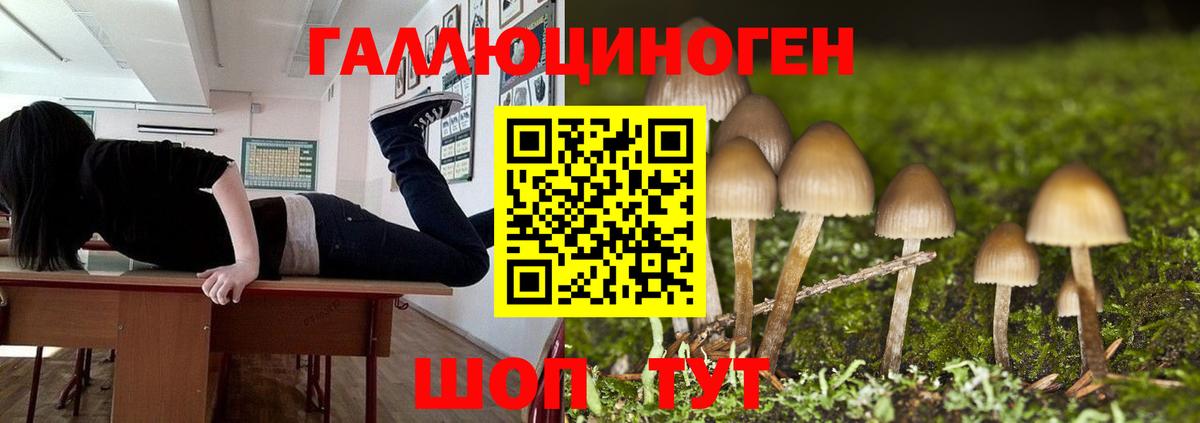 Невинномысск  Псилоцибиновые грибы мицелий  купить  сайты  Вход с VPN 